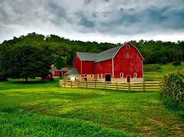 Barn and outbuildings at a rural homestead